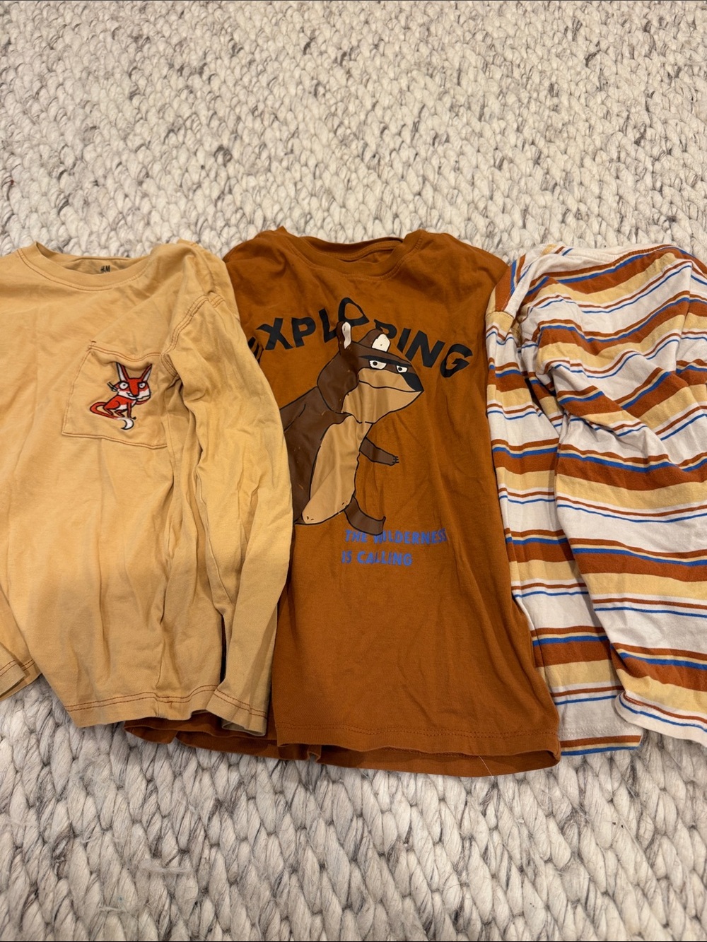 H&M Boys Long-Sleeve Graphic Tees in Brown & Tan Stripes